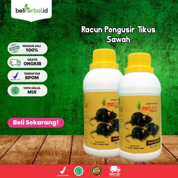 RATLESS RACUN TIKUS SAWAH