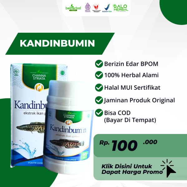 KANDIN BUMIN - Kapsul Ikan Kutuk Untuk Luka Operasi Luka Diabetes
